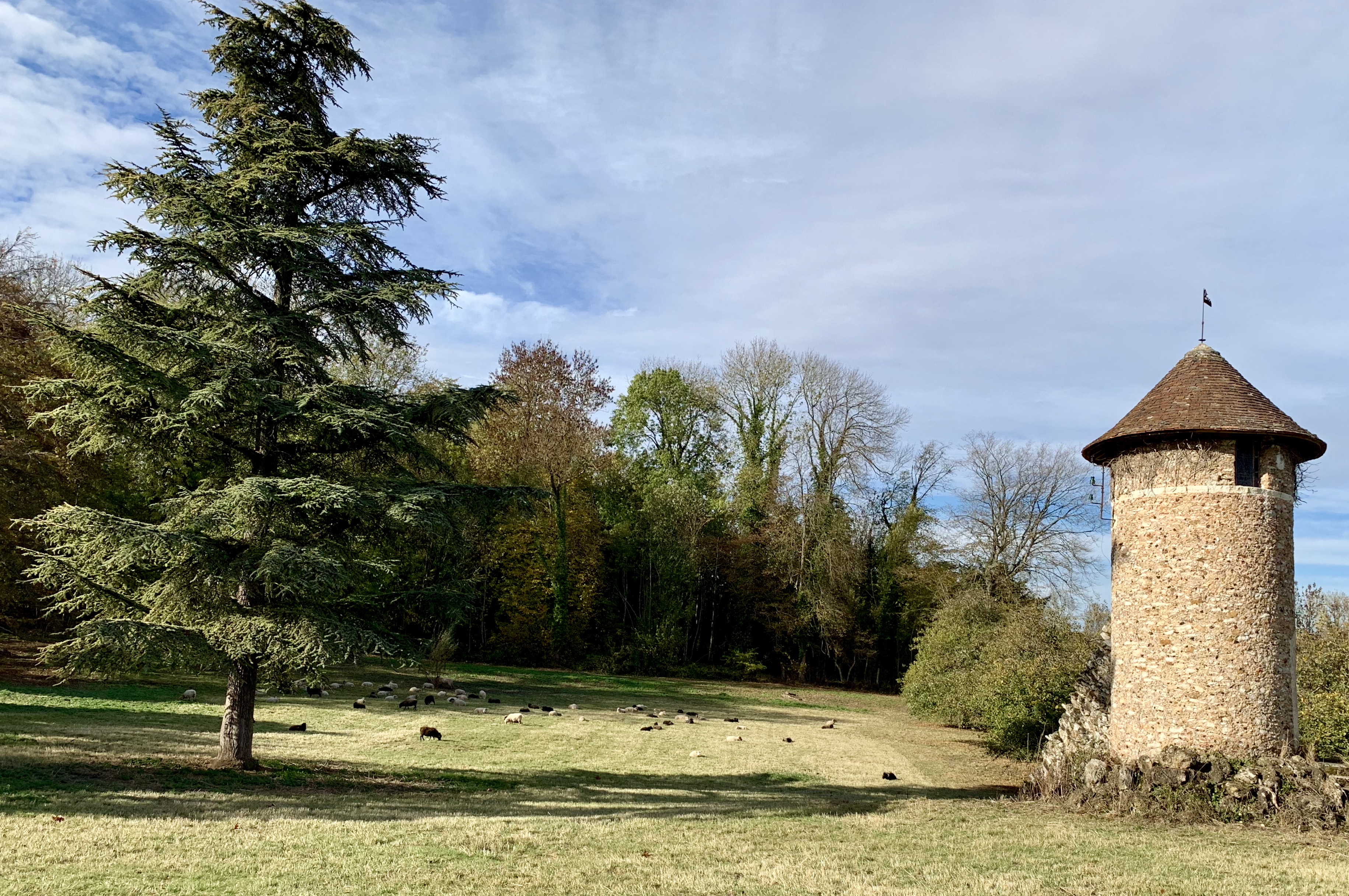 Photos Vid o Abbaye Notre Dame De Faremoutiers photos-vid-o-abbaye-notre-dame-de-faremoutiers